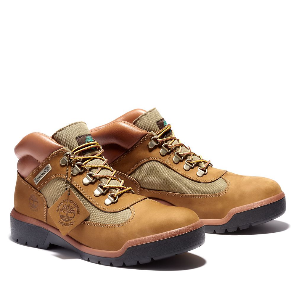 Timberland Mens Sneakers Waterproof Field Boots - Brown - India XG7389612